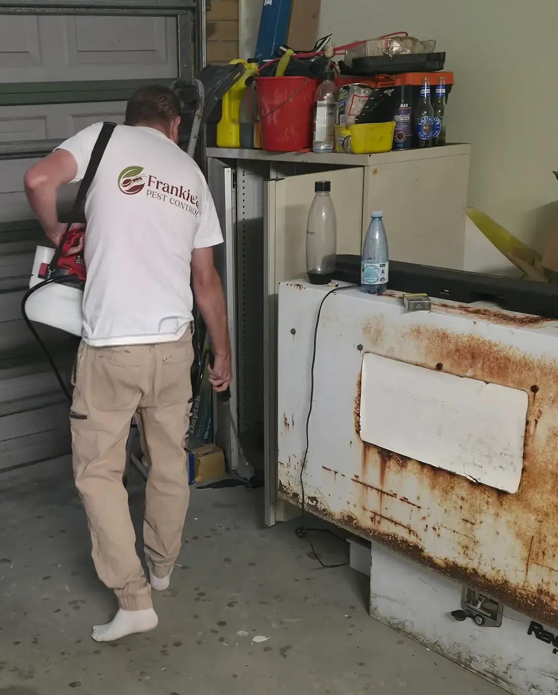 Pest Control Forest Lake