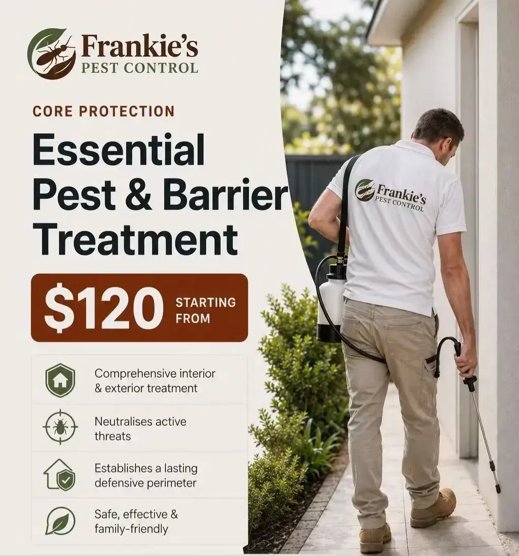 Pest Control Services Brisbane