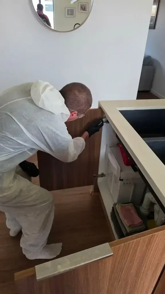 Advanced Pest Control